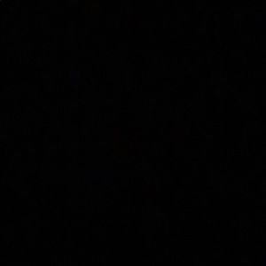 Meet your Posher, Bea